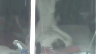Un musicien de les anciens porno rock baise un groupe de filles mignonnes juste avant le concert.