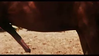Baise jeune vieux x Helena Stark en jupe.