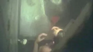 anderAnder Corvus teste le corps flexible de sexe avec un vieux l'athlète.